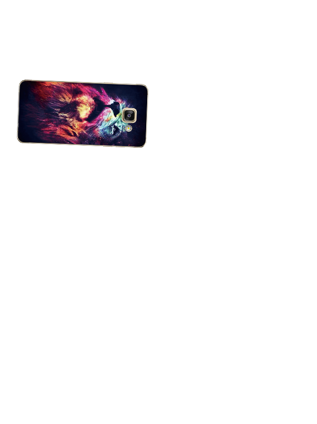 phone-casee-2.png