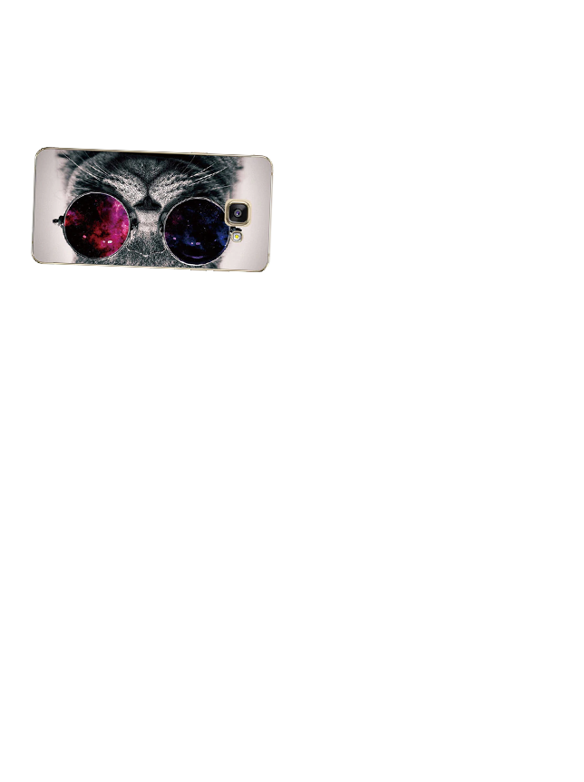 phone-casee.png