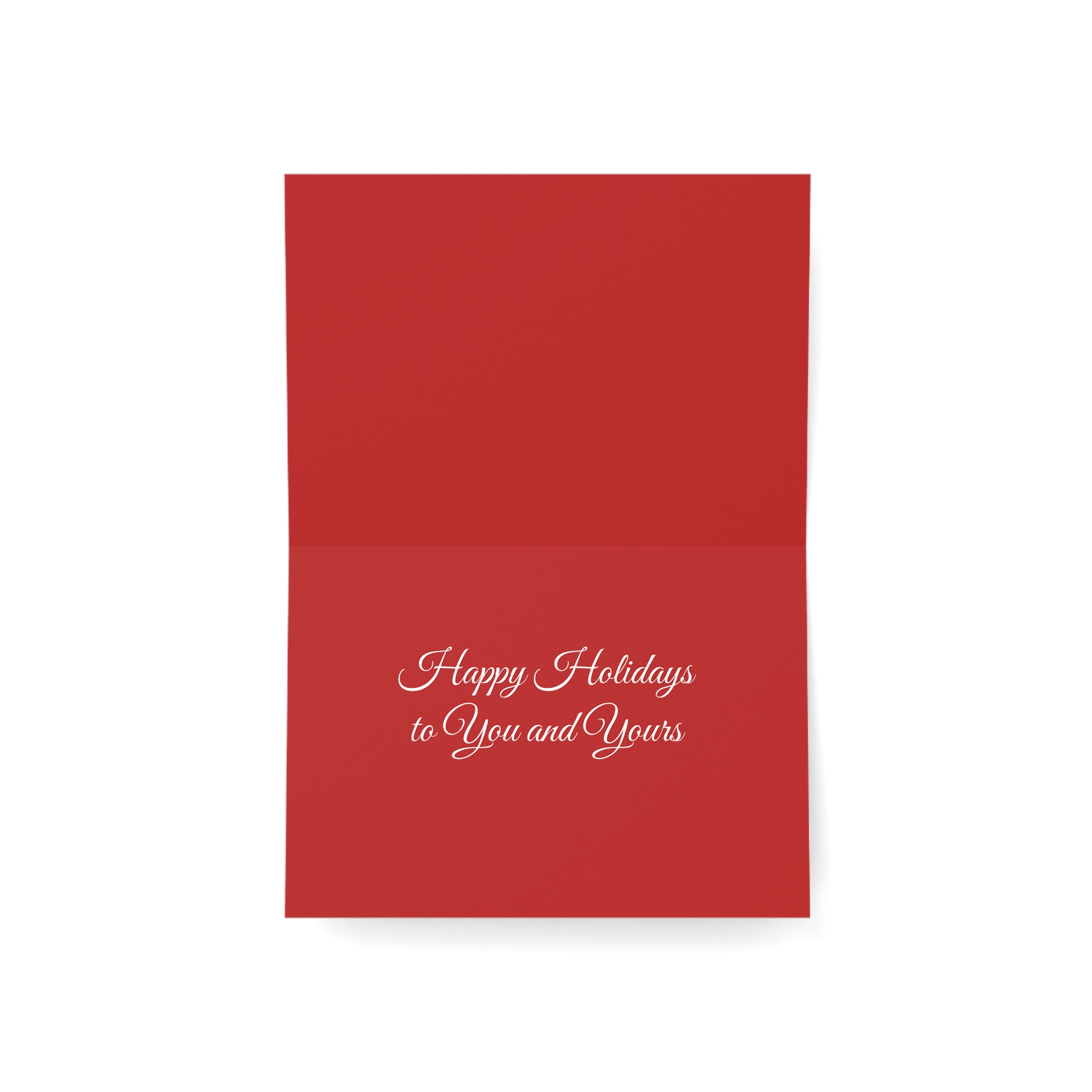 Christmas Reindeer Sleigh Greeting Card